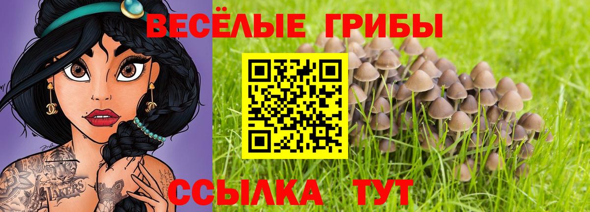 Санкт-Петербург  Галлюциногенные грибы мухоморы  Вход с VPN 