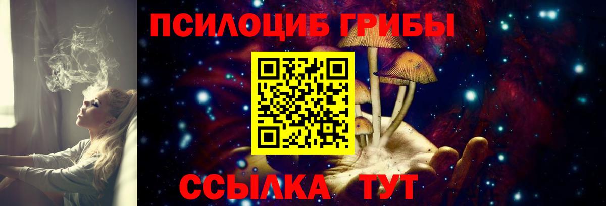 Галлюциногенные грибы мицелий Санкт-Петербург
